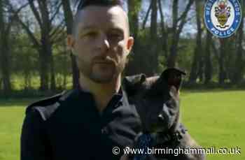 Meet new West Midlands Police dog... Captain Tom Moore