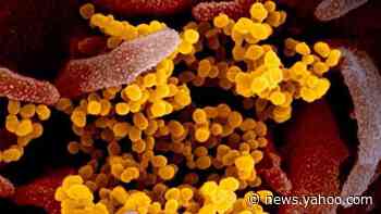 Experts: Coronavirus samples from China not crucial to vaccine