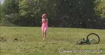 Moment girl got caught in 'mini twister' during walk in park
