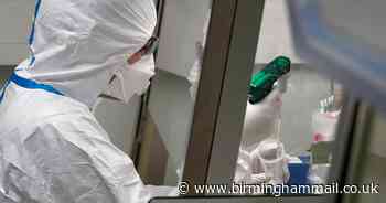 Coronavirus vaccine 'may not be ready until later next year'