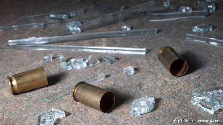 Woman Shot In The Back Inside Her Home, Police Investigating