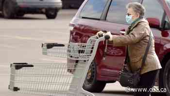 Pandemic groceries: 1 person, once a week may be the ideal, but it shouldn't be the law