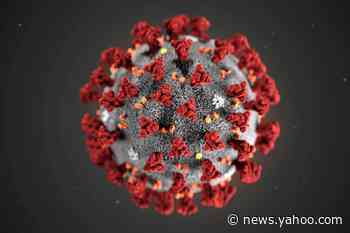 CDC adds six new possible coronavirus symptoms