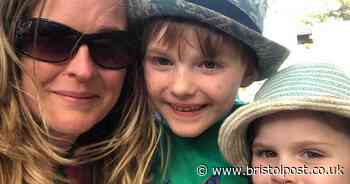 Bristol family have turned garden hedge into an art gallery