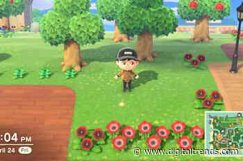 Animal Crossing guides