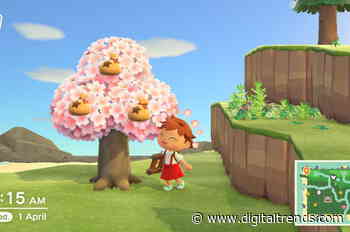 How to plant a money tree in Animal Crossing: New Horizons