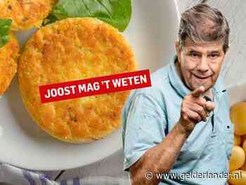 Hoe krijg ik mijn man en drie zonen ooit nog aan de vleesvervangers?