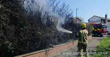 Hedge fire caused by garden bonfire sparks warning from council