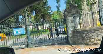 Bristol residents defy council-enforced cemetery closure