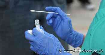 Bristol now has 571 confirmed coronavirus cases