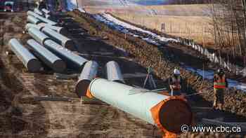 Trans Mountain, LNG Canada say they are on track despite pandemic