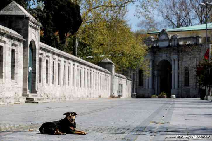 Turkey's coronavirus death toll rises to 2,805, new cases 2,357: ministry