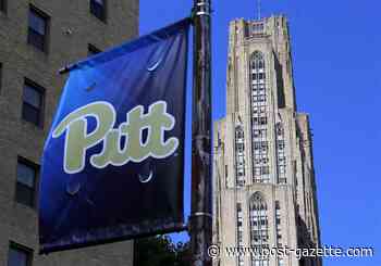 Pitt's 2020 class earns 'badge of honor' with online graduation ceremony