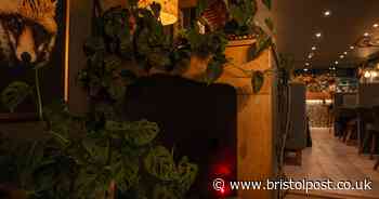 Cocktail bar Crying Wolf wins right to stay open later