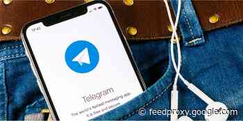 Telegram teases new secure group video calling features coming this year