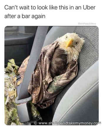 Can’t Wait Top Look Like This In An Uber After A Bar Again – Eagle Meme