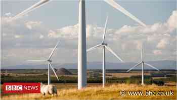 Virus recovery plan 'must tackle climate change'