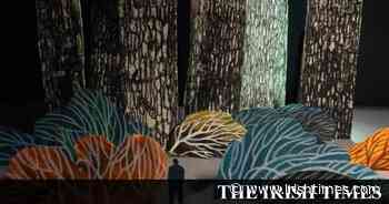 Beach Comber: Parting Cuts review – A gift to the world - The Irish Times