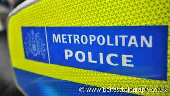 Baby and three-year-old boy stabbed to death in Ilford