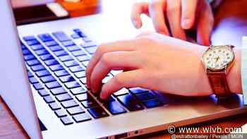 California official resigns after throwing cat during online meeting