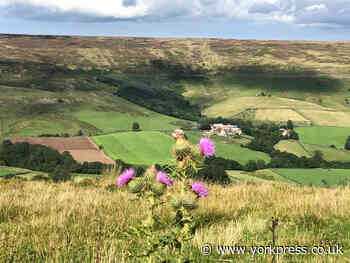 Dreaming of a day out up on the Moors...
