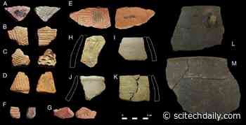 Molecular & Isotopic Evidence of Milk, Meat & Plants in Prehistoric Food Systems