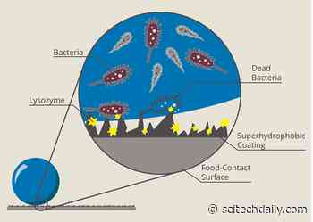 New Dual-Action Coating Invented to Prevent Bacterial Cross-Contamination of Fresh Produce