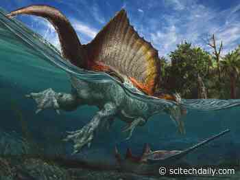 Paleontologists Reveal Jurassic Park in Eastern Morocco