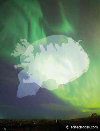 Icelandic DNA Jigsaw-Puzzle Puts Together New Image of Neanderthals