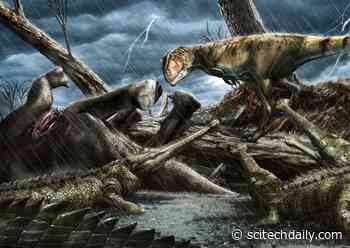 “Most Dangerous Place in the History of Planet Earth” Revealed by Paleontologists