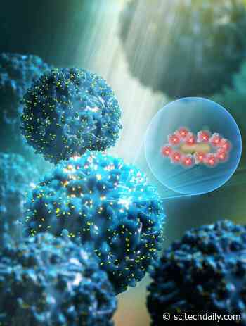 Newly Developed Nanotechnology Biosensor Being Adapted for Rapid COVID-19 Testing