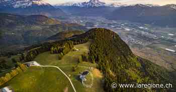 Oltre il virus, ecco il nuovo affresco su erba di Sayape - laRegione