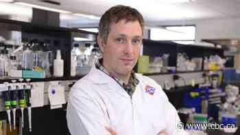 Don't let focus on vaccine research fade after COVID-19 pandemic ends, experts urge