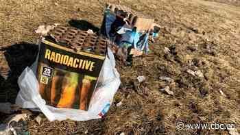 Edmonton revises litter cleanup plan due to COVID-19