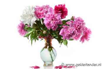 Vijf doe-het-zelfs voor meer sfeer in huis