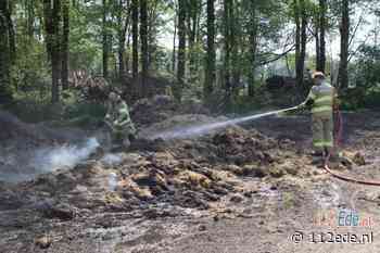 Brandweer blust kleine buitenbrand in Harskamp