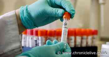 Crooks could be delaying vital coronavirus payments to Sunderland businesses