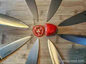 The best chef's knives of 2020     - CNET