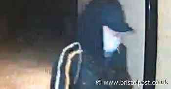 Burglar in surgical mask hunted by police