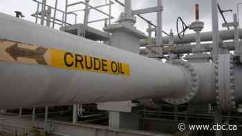 Oil price dips to $12 US a barrel as oversupply problem persists