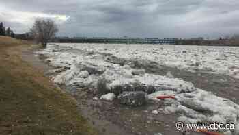 Prince Albert warns about flooding as dramatic video shows stranded deer on churning river