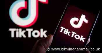 TikTok introduces brilliant new feature during the coronavirus crisis