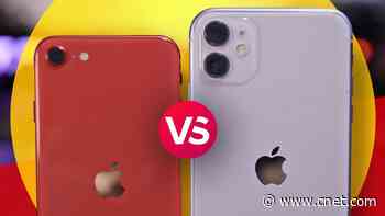 iPhone SE (2020) vs. iPhone 11: We compare cameras to see which is better video     - CNET