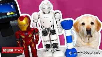 Coronavirus: Can these robot roommates liven up lockdown?