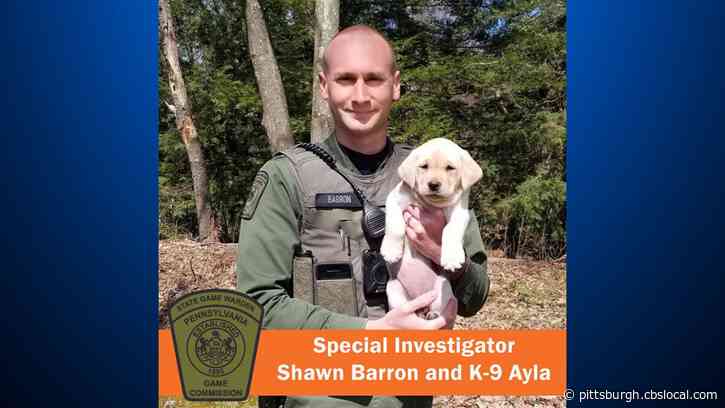 Pa. Game Commission Adds 3 New K-9 Teams, Pups Will Be Trained In Detection And Tracking