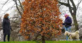 NYC will close public roads to traffic to create more recreational space     - CNET