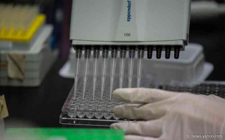 'Game-changing' Oxford antibody test claims 'overblown'