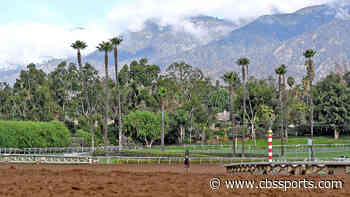 Two-year-old colt dies after accident at Santa Anita
