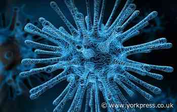 More people confirmed as having coronavirus in York
