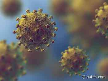 Baltimore County Woman Recovers From Coronavirus: Report - Towson, MD Patch